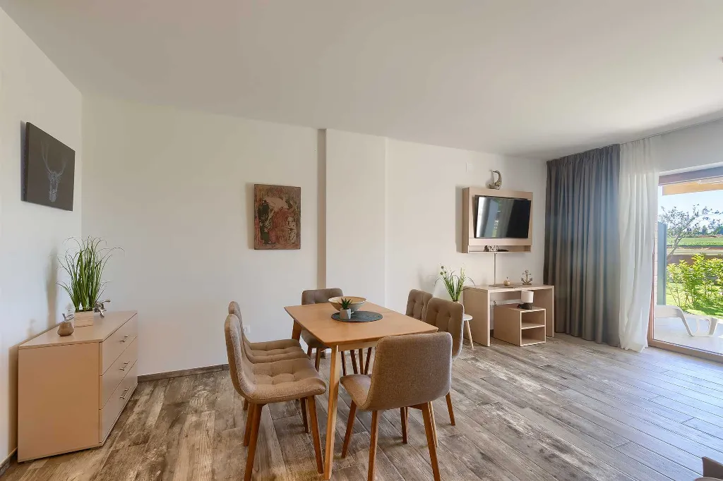 Studio for 3 Guests in Novigrad with Shared Pool