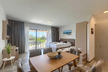 Studio for 3 Guests in Novigrad with Shared Pool