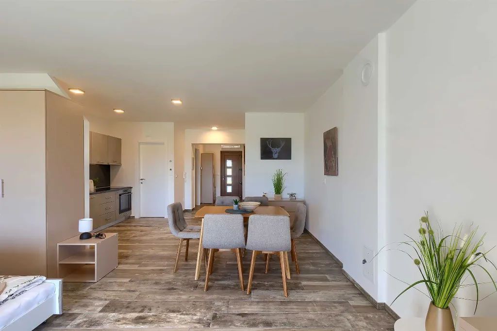 Studio for 3 Guests in Novigrad with Shared Pool