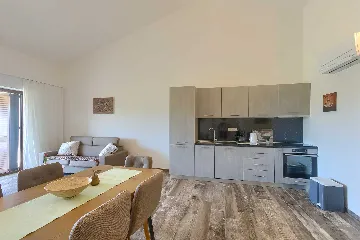 Novigrad Apartment for 6 Guests with Shared Pool