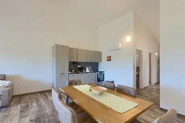 Novigrad Apartment for 6 Guests with Shared Pool