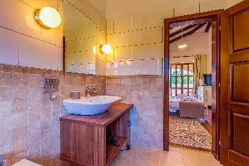 4-Bedroom Villa with Pool and Big Garden in Višnjan