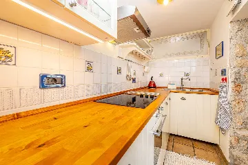 House with Private Pool and Tree House in Dobrinj