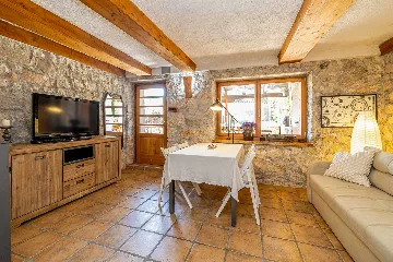 House with Private Pool and Tree House in Dobrinj