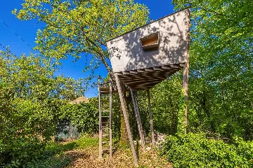 House with Private Pool and Tree House in Dobrinj