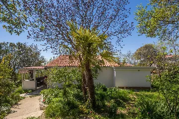 House in Pinezići for up to 6 guests with Jacuzzi