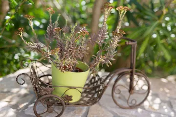 Linardići 3-Bedroom House with Private Pool & Jacuzzi