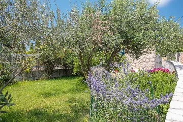 House in Brzac for Up to 5 Guests