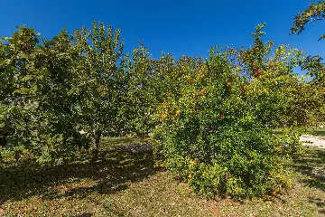 4-Bedroom House in Linardići for 8 Guests