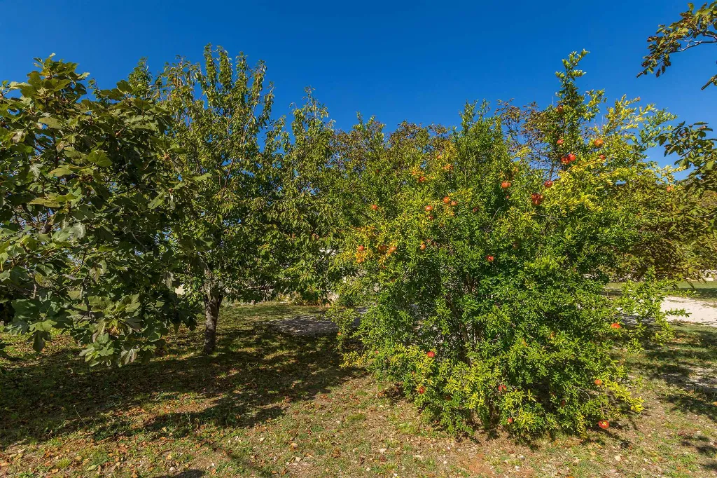 4-Bedroom House in Linardići for 8 Guests