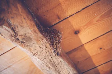 Villa with Pool & Sauna for up to 14 in Gabonjin