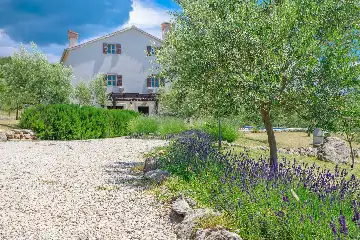 Brusići 3-Bedroom Holiday House with Private Pool