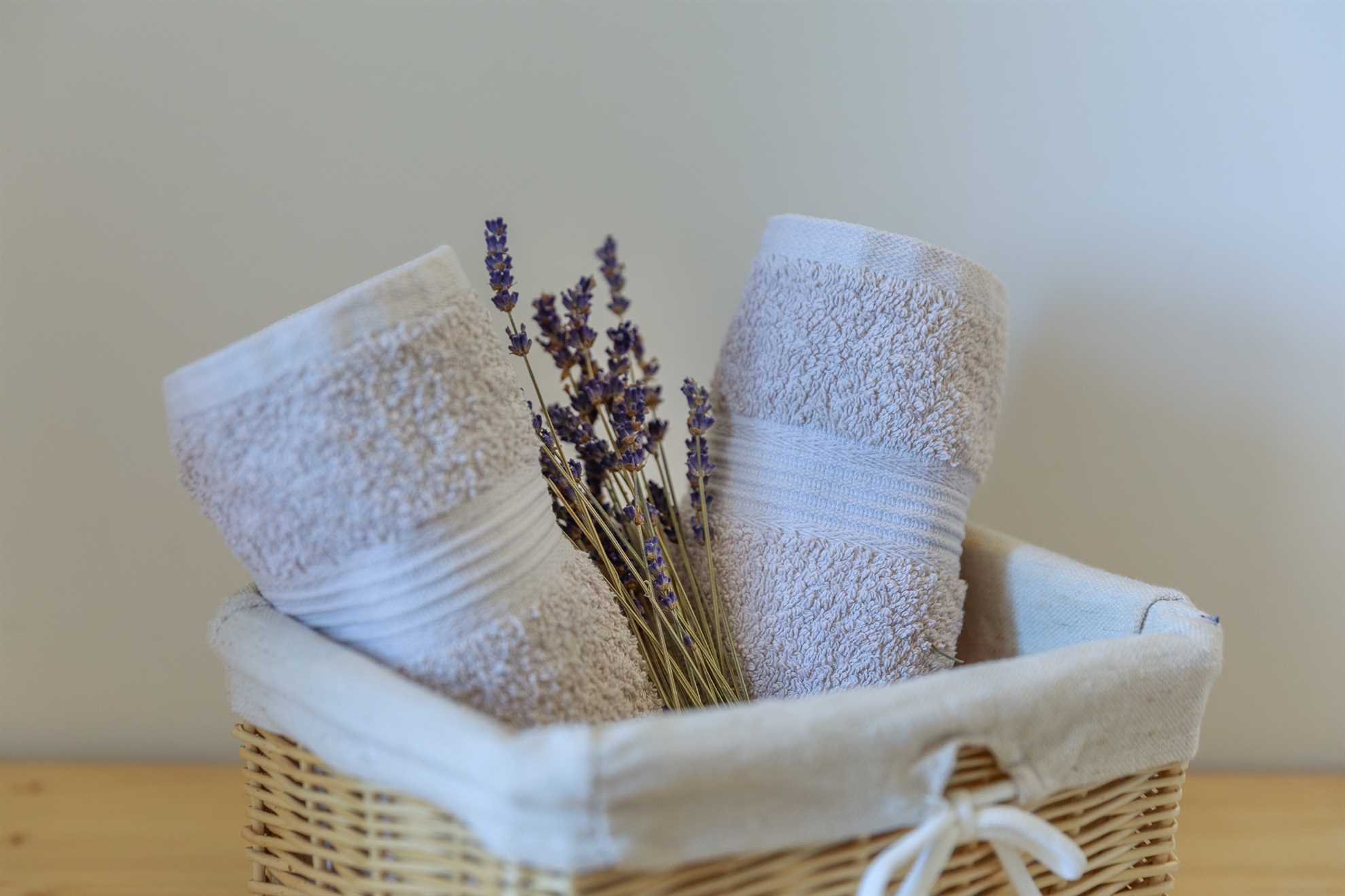 Casa vacanze rustica HARMONIE con piscina privata e ampio giardino.