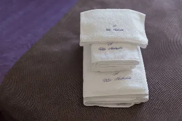 Villa with Private Pool, Jacuzzi & Sauna in Linardići