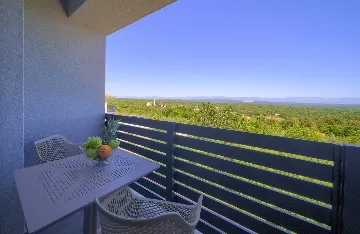 Vrh Luxury Villa for 12 with Heated Pool & Sauna