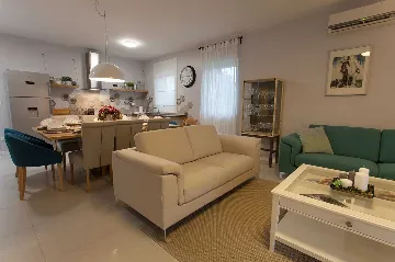 Villa in Kras with Private Pool for 11 Guests