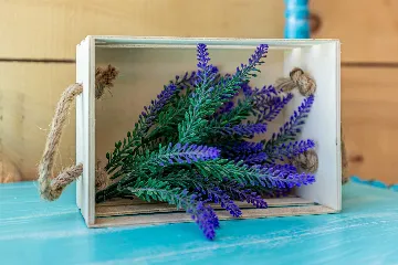 Seafront House for 2 Guests in Omišalj