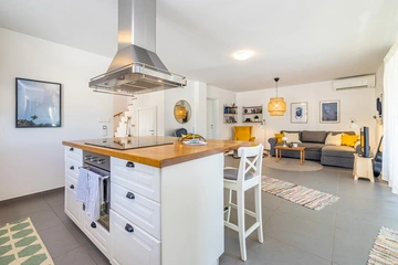 Holiday House in Kras with Private Pool