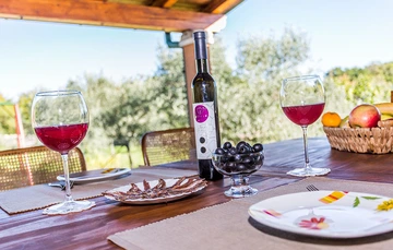 3-Bedroom House in Kras with Private Garden