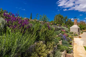 Private Pool Villa in Žgaljići for 10 Guests