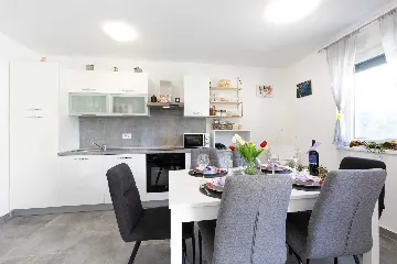 Ground-Floor Apartment in Čižići with Pool