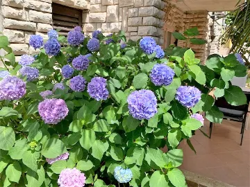 1-Bedroom Apartment with Private Terrace in Poreč