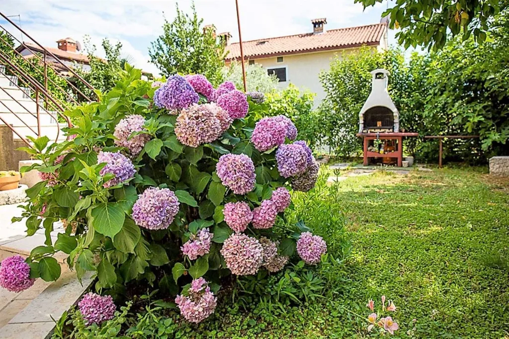 Poreč 1-Bedroom Apartment with Private Balcony