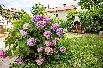 Poreč 1-Bedroom Apartment with Private Balcony