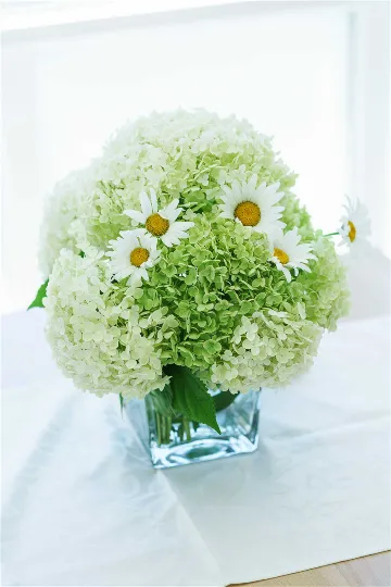 Studio near the Beach in Blata for up to 3 Guests