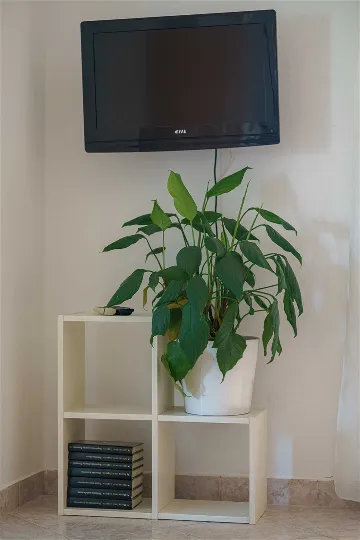 Quiet Apartment for 4 with Terrace and Beach View