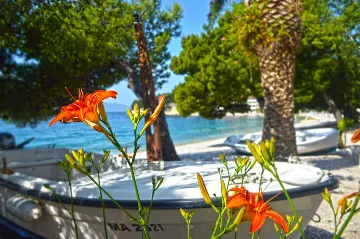 Drvenik Sea-View Apartment for Up to 5 Guests