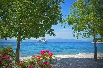 Drvenik Sea-View Apartment for Up to 5 Guests