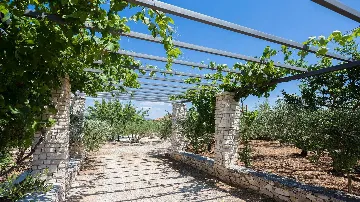 Sea View Villa in Mirca, Brač