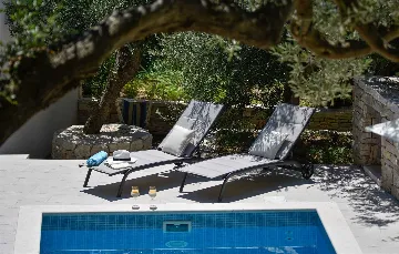 Serene Grove Retreat Pisak