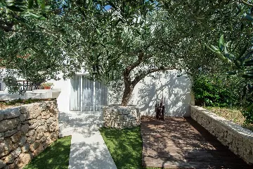 Serene Grove Retreat Pisak