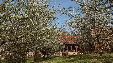 Villa with Sauna and Jacuzzi in Lopatinec