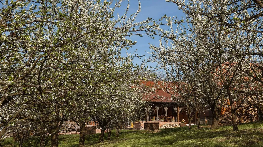 Villa with Sauna and Jacuzzi in Lopatinec