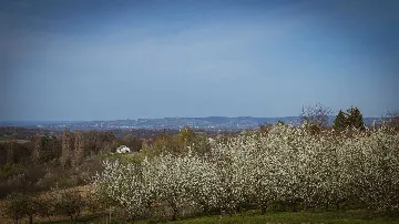 Villa with Sauna and Jacuzzi in Lopatinec