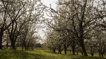 Villa with Sauna and Jacuzzi in Lopatinec