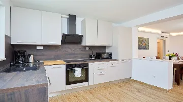 Villa with Pool in Mokošica