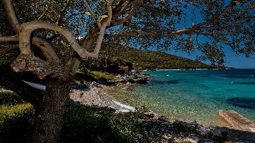 Modern 3-Bedroom Villa in Žrnovo for 6