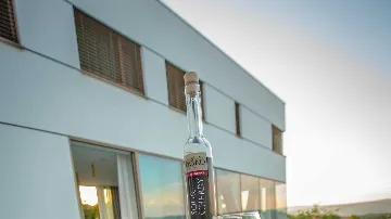 Spacious Villa in Zmijavci with Sports Courts