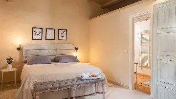 Renovated Heritage Villa with Infinity Pool in Žminj