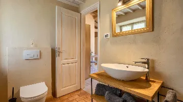 Renovated Heritage Villa with Infinity Pool in Žminj