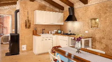 Renovated Heritage Villa with Infinity Pool in Žminj