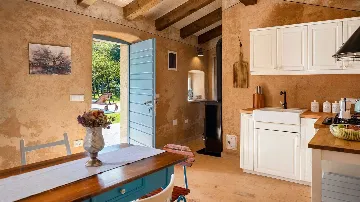 Renovated Heritage Villa with Infinity Pool in Žminj