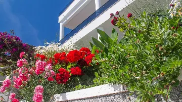 Villa in Podstrana for Up to 20 Guests