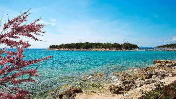 Murter Modern 4-Bedroom Villa with Pool