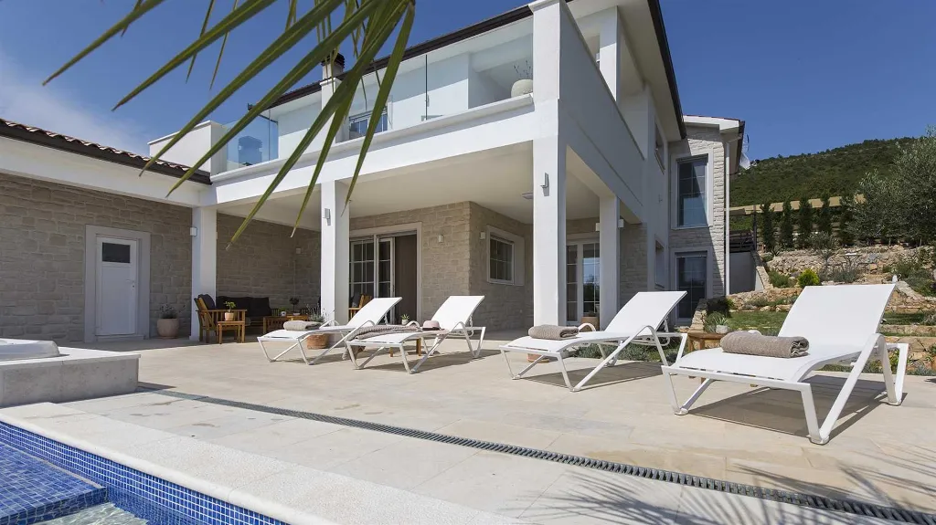 Modern Villa with Infinity Pool in Viškovići