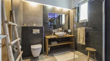 Modern Villa with Infinity Pool in Viškovići